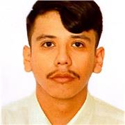 Maestro en materias de arte e historia con experiencia, imparto clases a niños, jóvenes y adultos